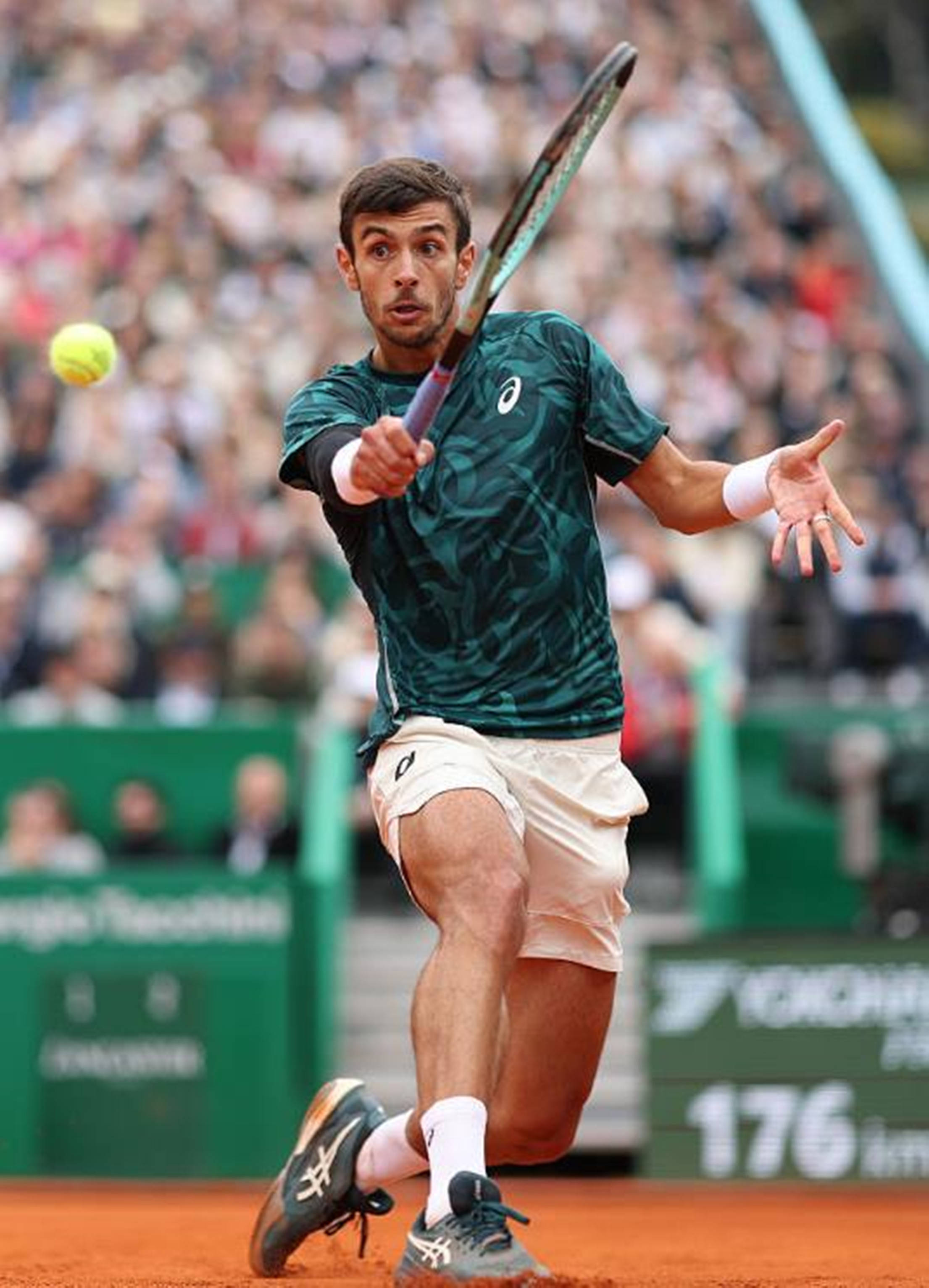 本场比赛体 本场比赛体