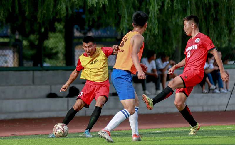 置与平台 置与平台